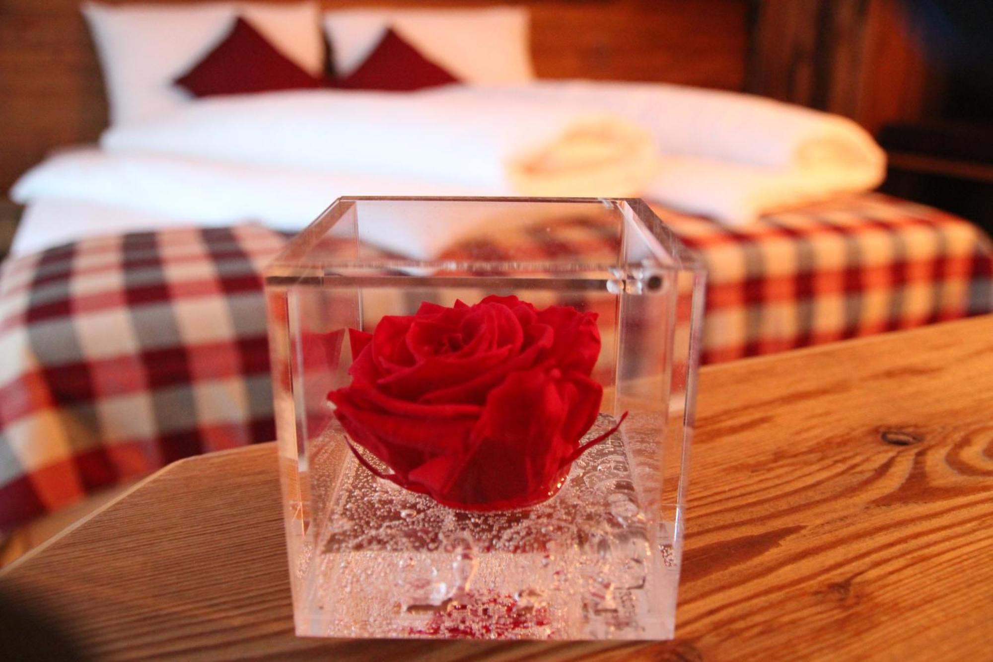 Green Rose Livigno Zewnętrze zdjęcie